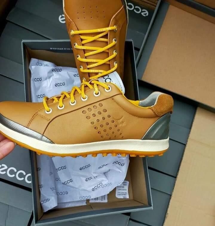 Giày golf nam - giầy golf ecco nhập khẩu