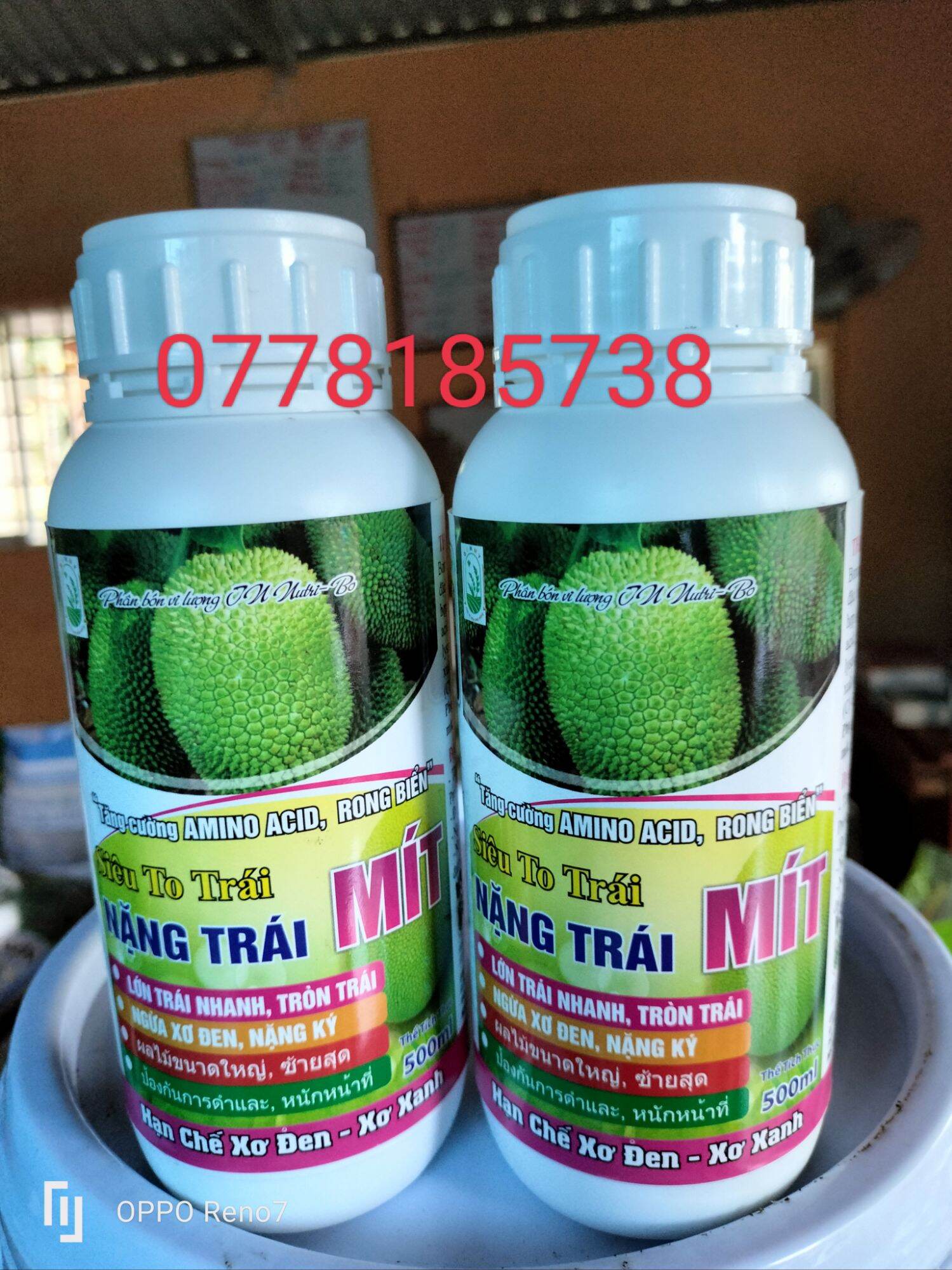 Siêu to trái, lớn trái mít, lớn trái, cơm dầy, nặng ký, hạn chế xơ đen tối đa, đẹp da trái mít