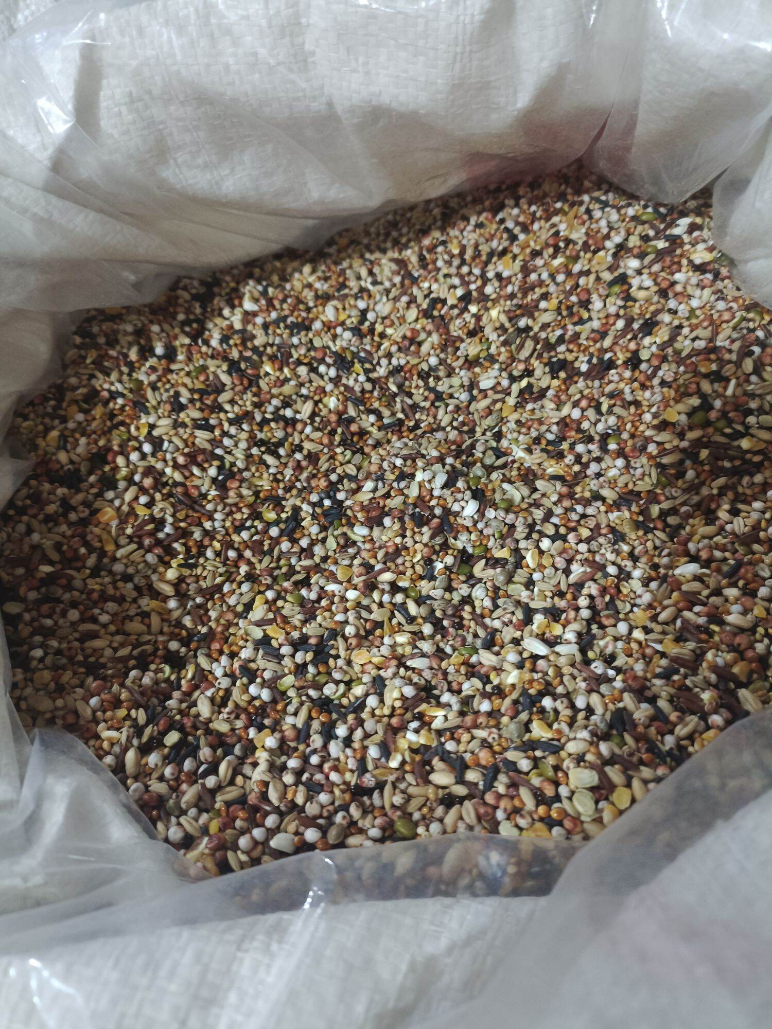 1kg Ngũ cốc chim cu gáy