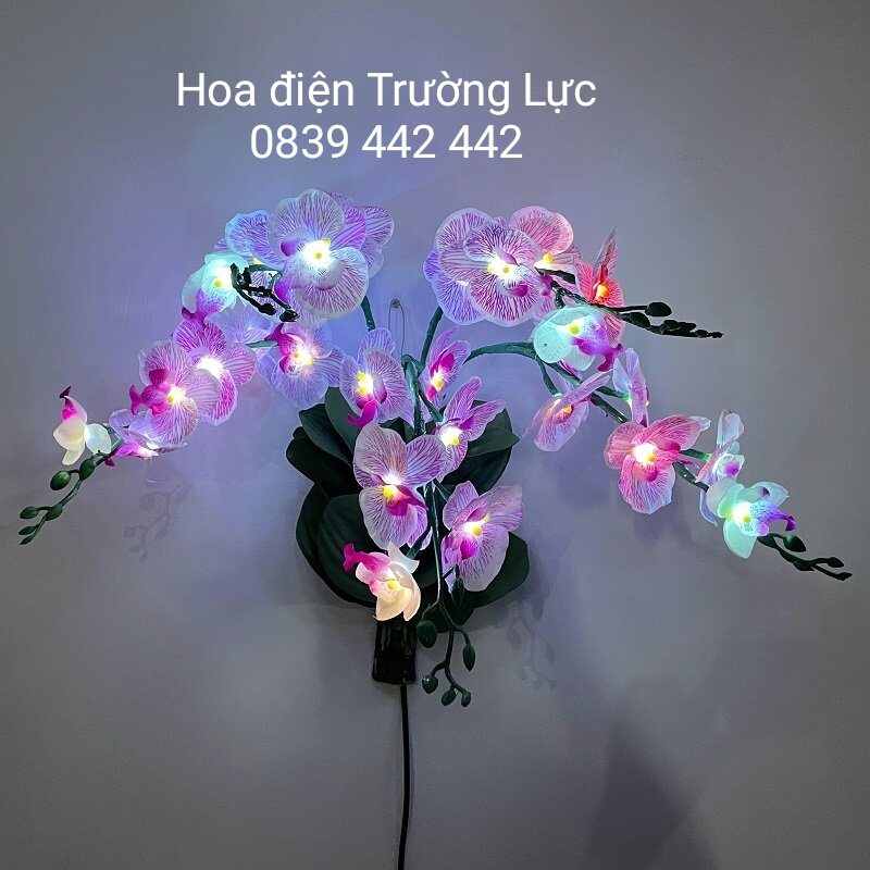 Hoa Lan Treo Tường - Hoa Trang Trí Có Đèn