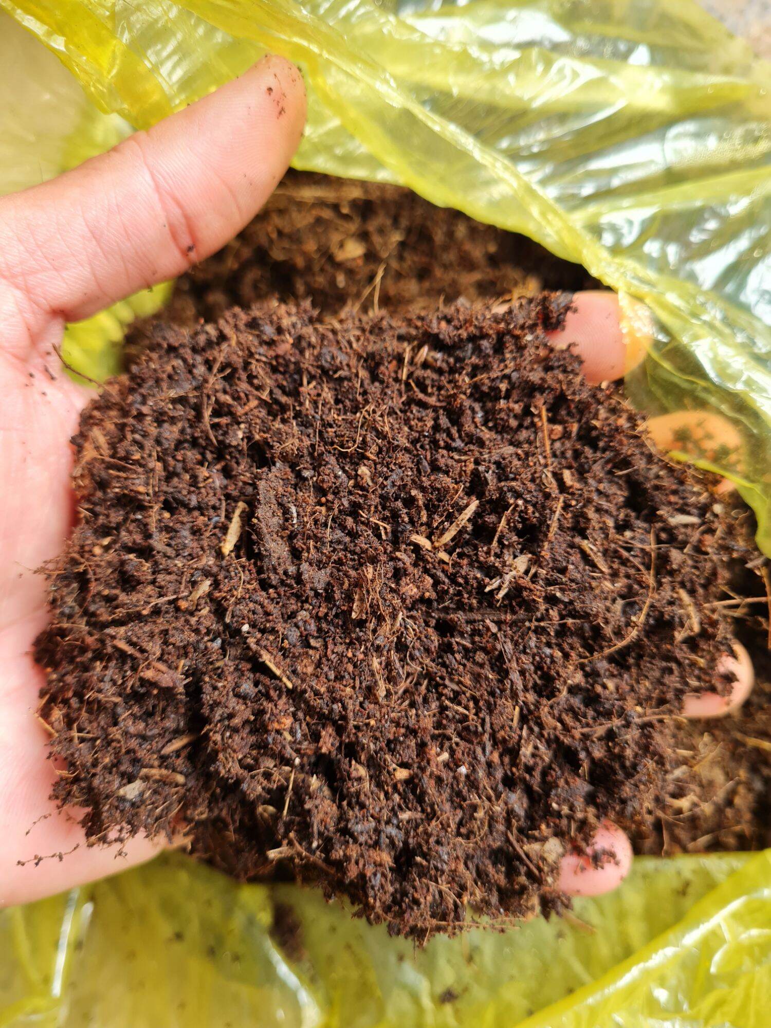 Đất trồng cây trộn sẵn