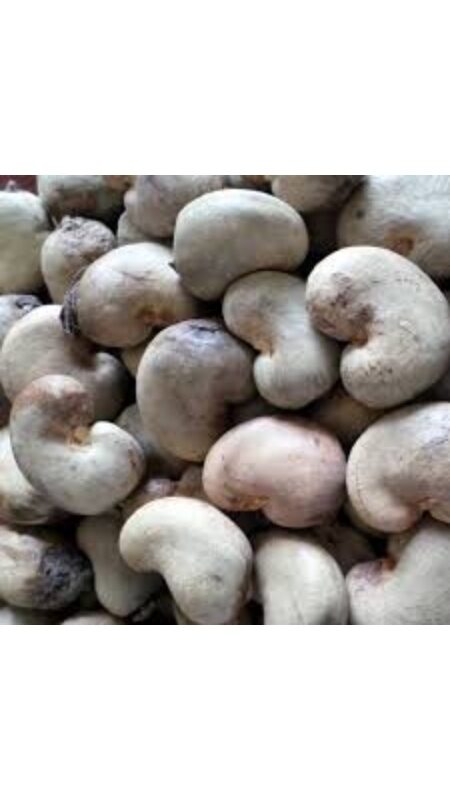 Hạt Điều Tươi Bình Phước -  Đào Lộn Hột 500g #traidieu #daolonhot
