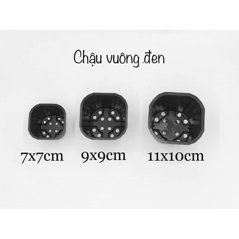 Chậu Nhựa Vuông 7x7cm