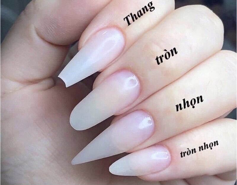 Nailbox hồng thạch đính đá nơ