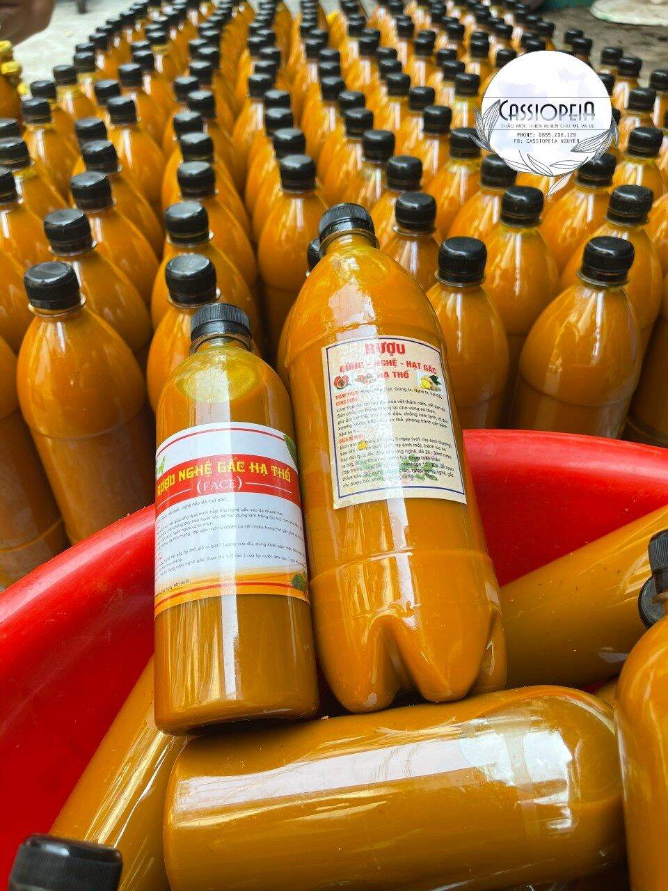Cốt nghệ gấc hạ thổ thoa mặt