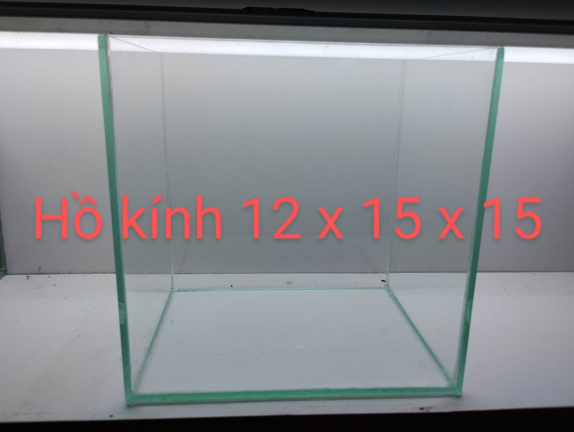 Hồ mini nuôi cá