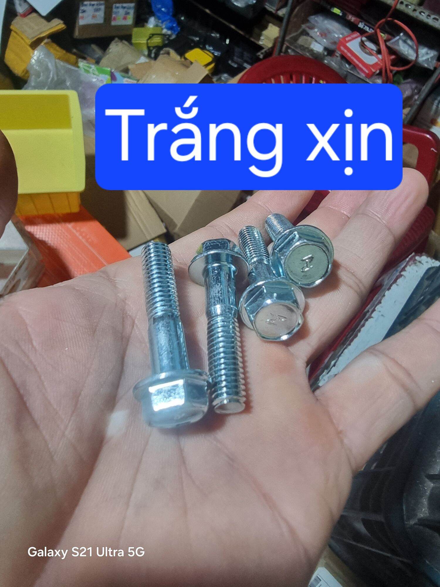 bộ ốc cùi đĩa wave - dream (4 ốc + 4 tán) (loại xịn)