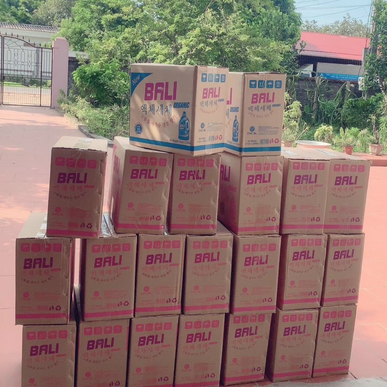 Nước giặt & xả 2 trong 1 BALI