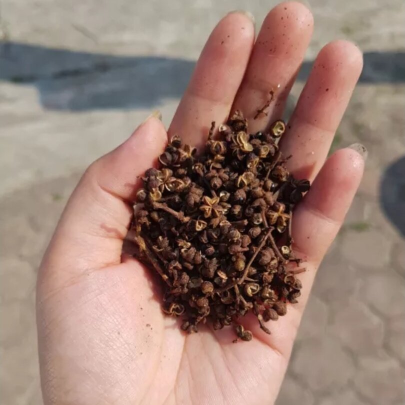 Com bo hạt dổi, mắc khén