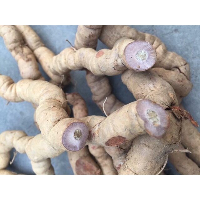 1kg ba kích tím tươi