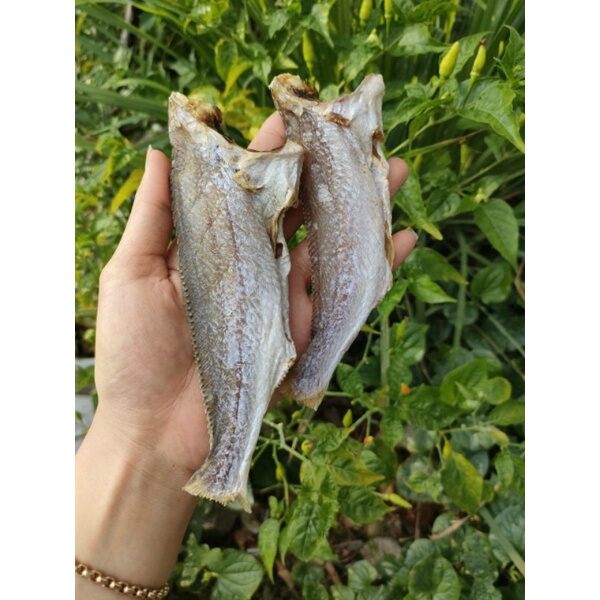 Khô cá đù size đại loại hảo hạng ,đặc sản cà mau , cá đù khô phơi sấy tự nhiên.