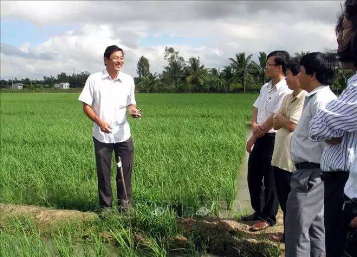 GẠO ĐẶC SẢN SÓC TRĂNG ST25 túi 10kg