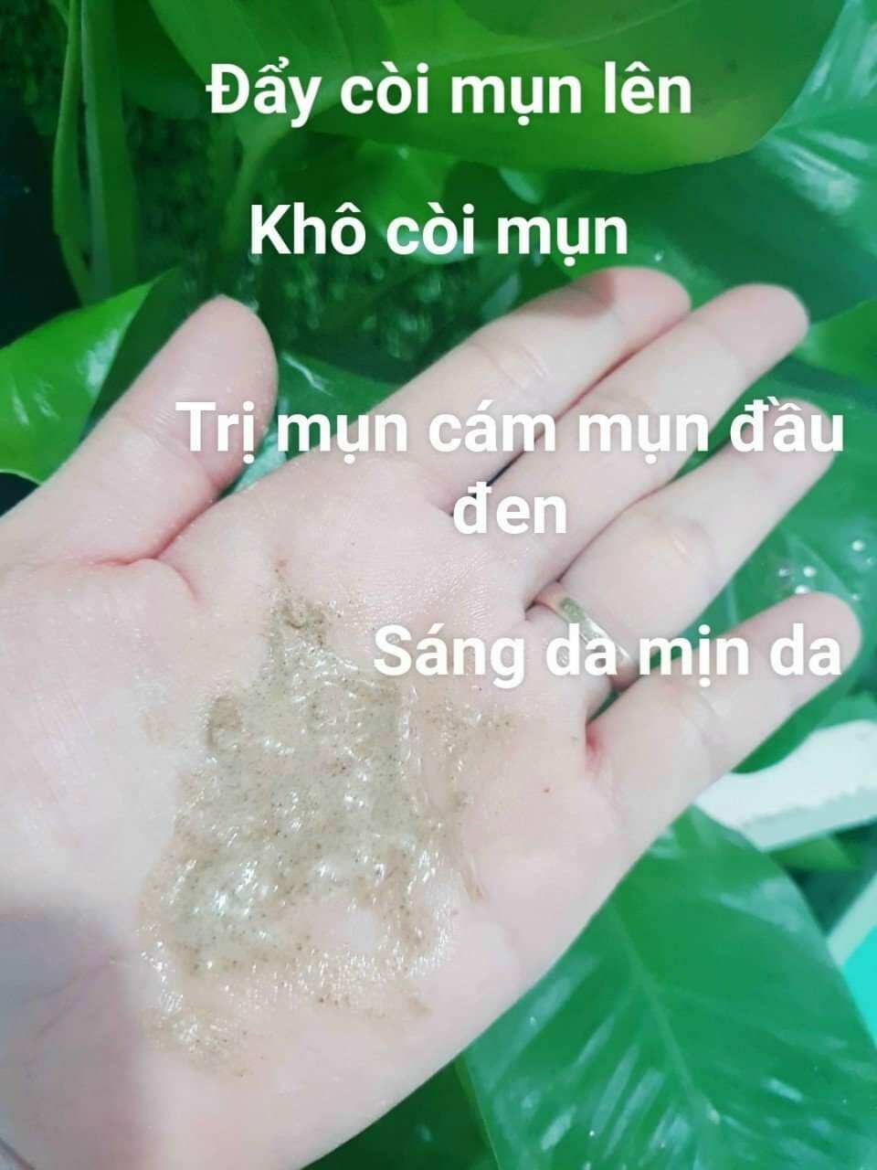 Bột rửa mặt thảo dược Matcha kiềm dầu- Handmade