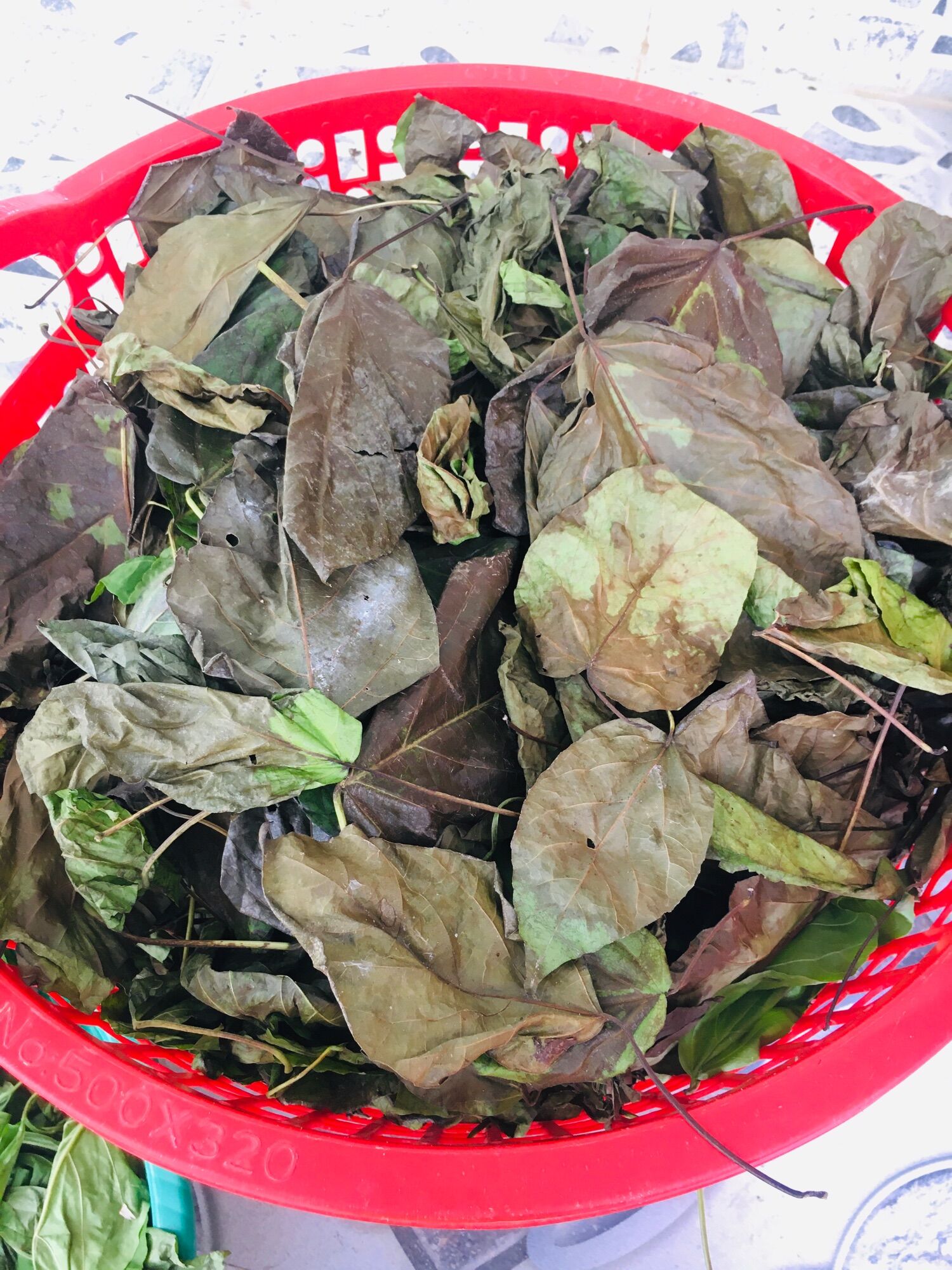 2kg lá cách phơi khô cả thân và lá