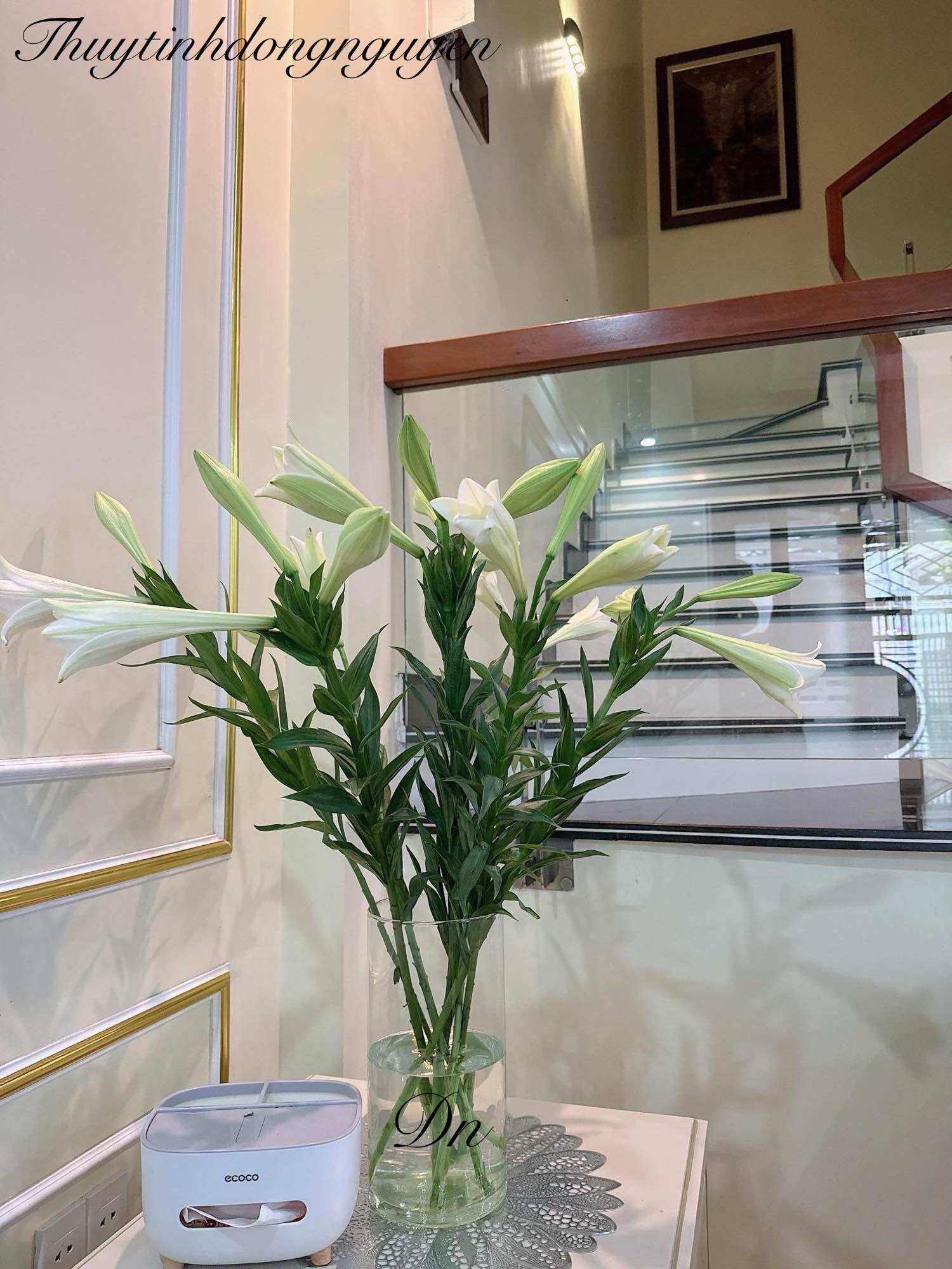 (D12cm x H25cm) Lọ hoa bình thuỷ tinh trụ tròn 12x25cm (đường kính 12cm cao 25cm)