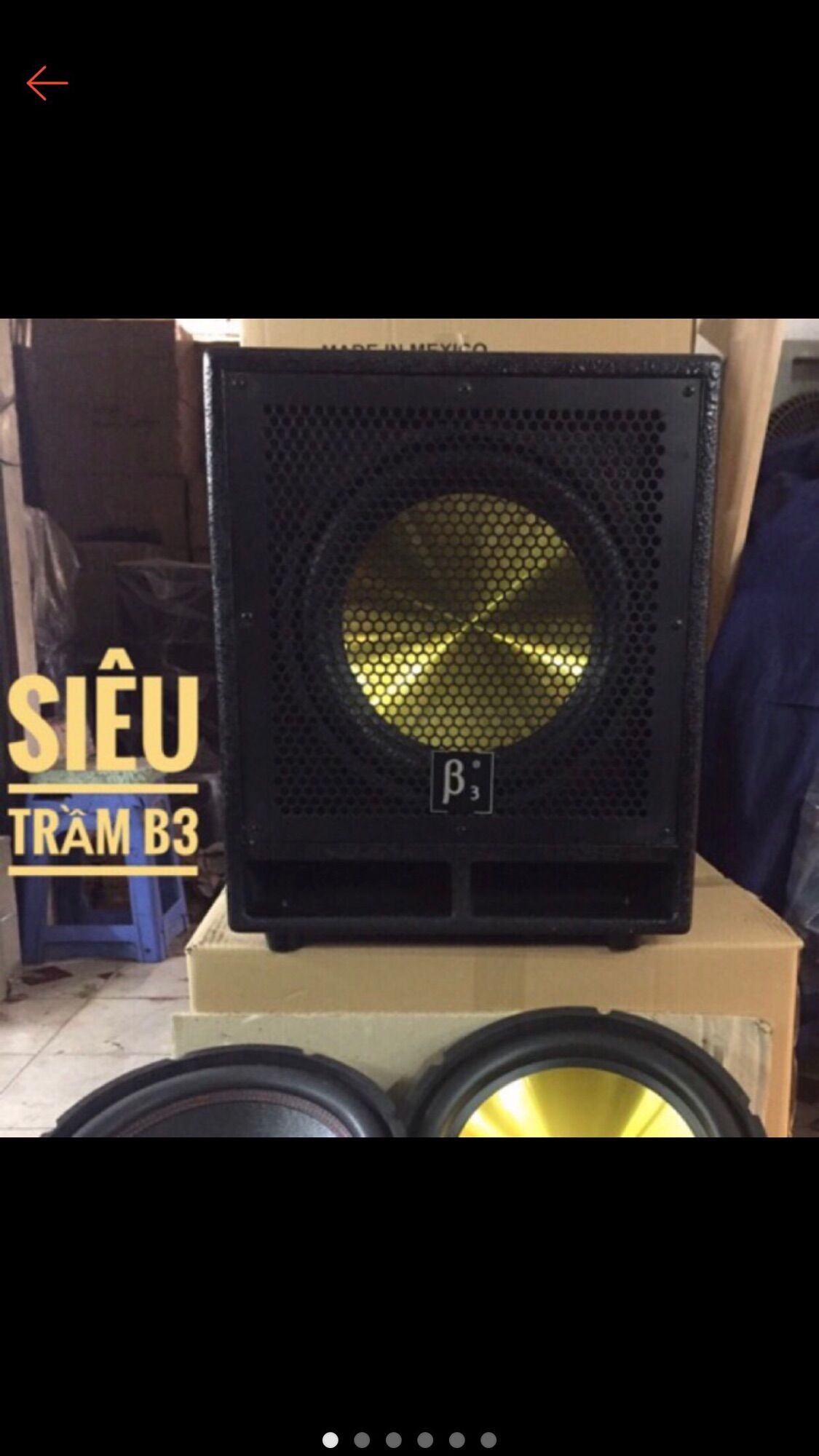 Loa Siêu trầm B3 bass 30 cm