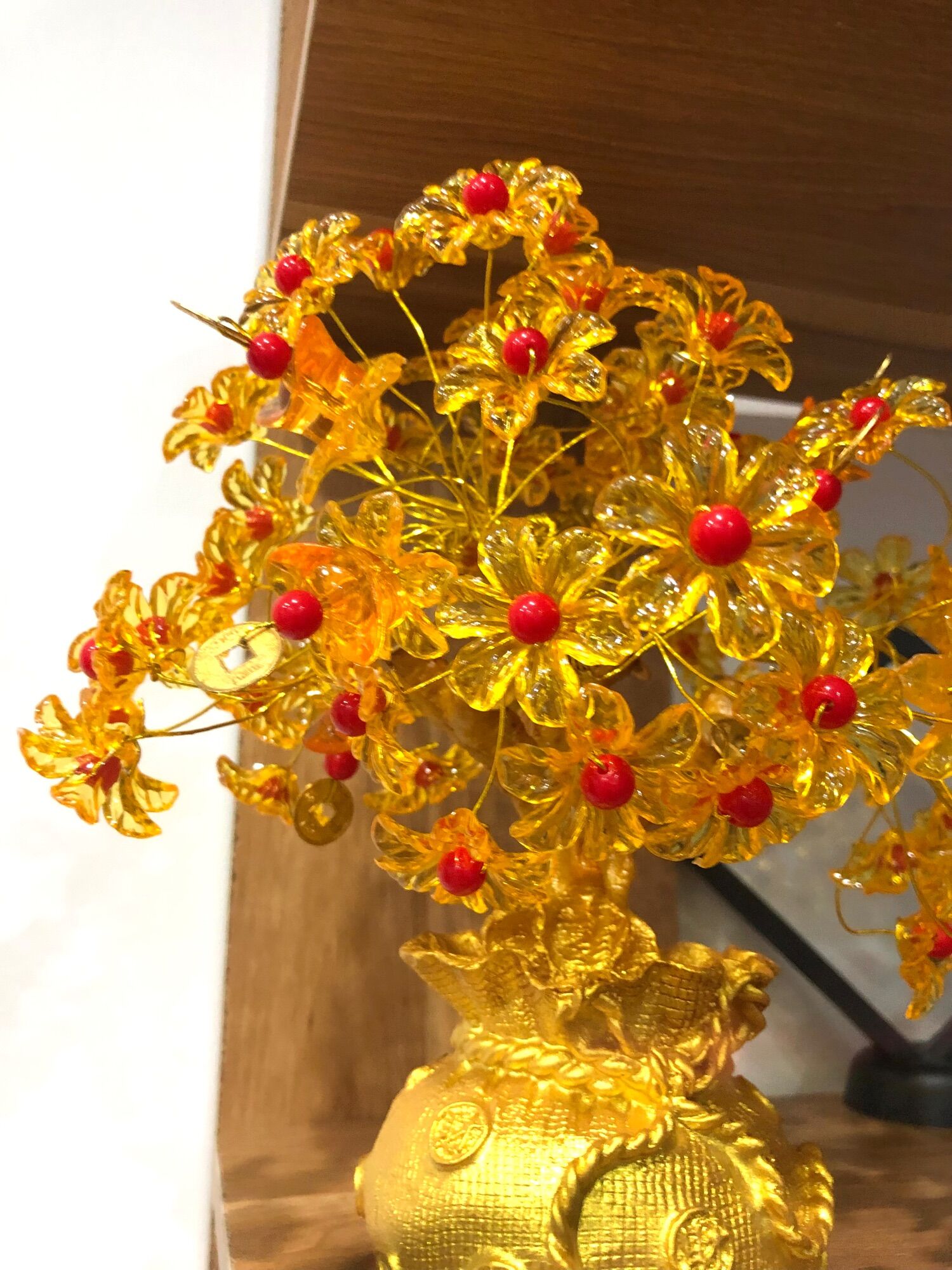 Cây tài lộc
