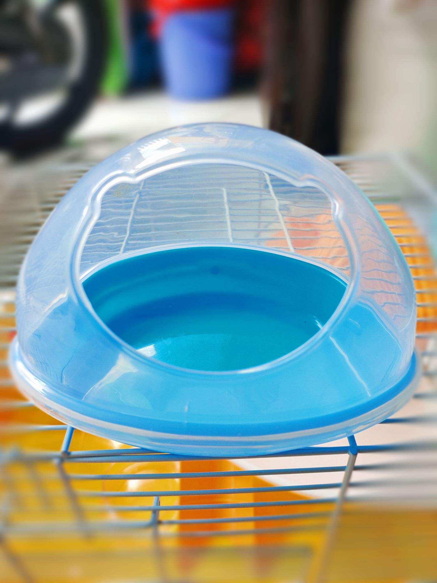 Nhà tắm gấu bự