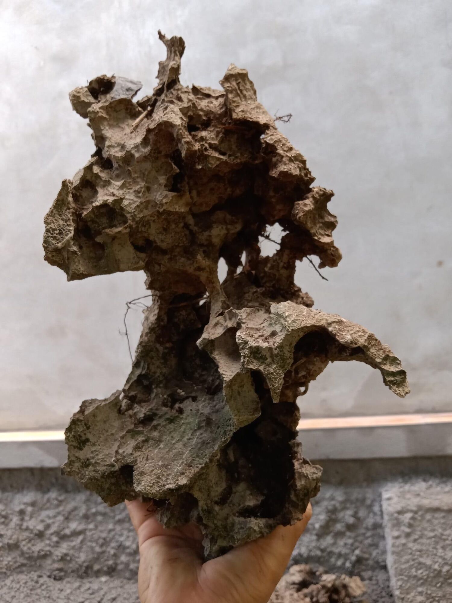 ĐÁ ghép cây bonsai mini.trang trí bể cá cảnh