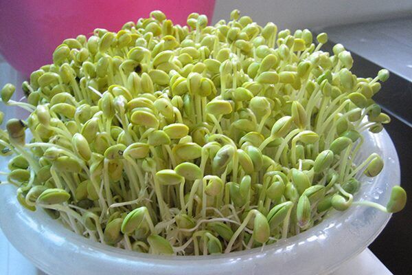 1kg Đậu nành làm giá đỗ