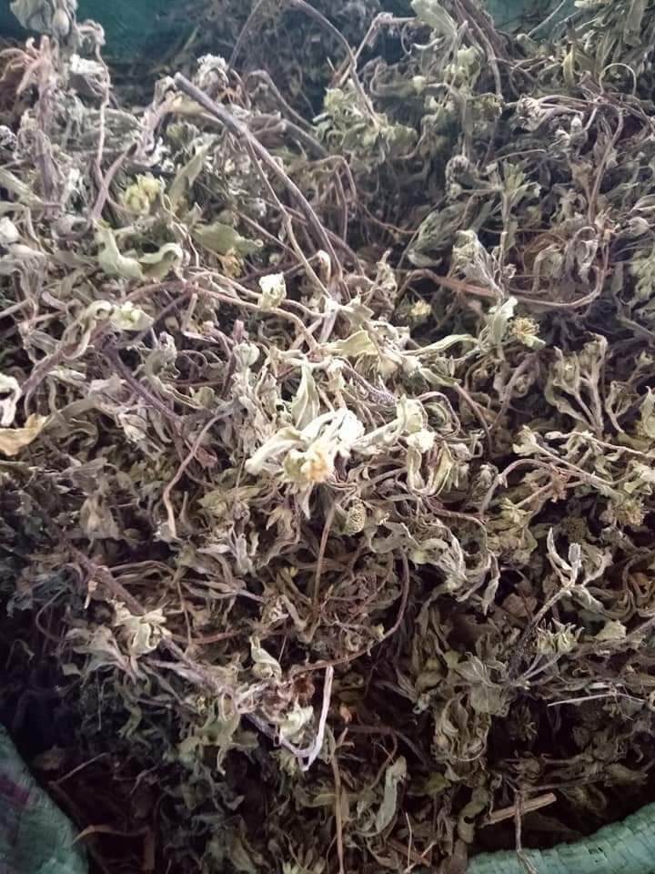 Cây cỏ mực khô (1kg )