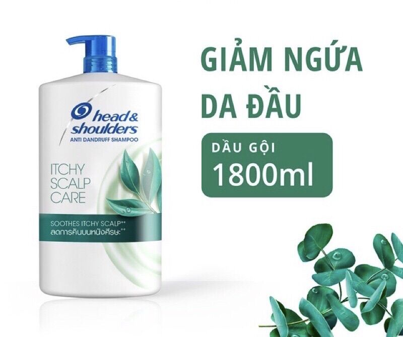 Dầu gội head & shoulder chai 1.8L