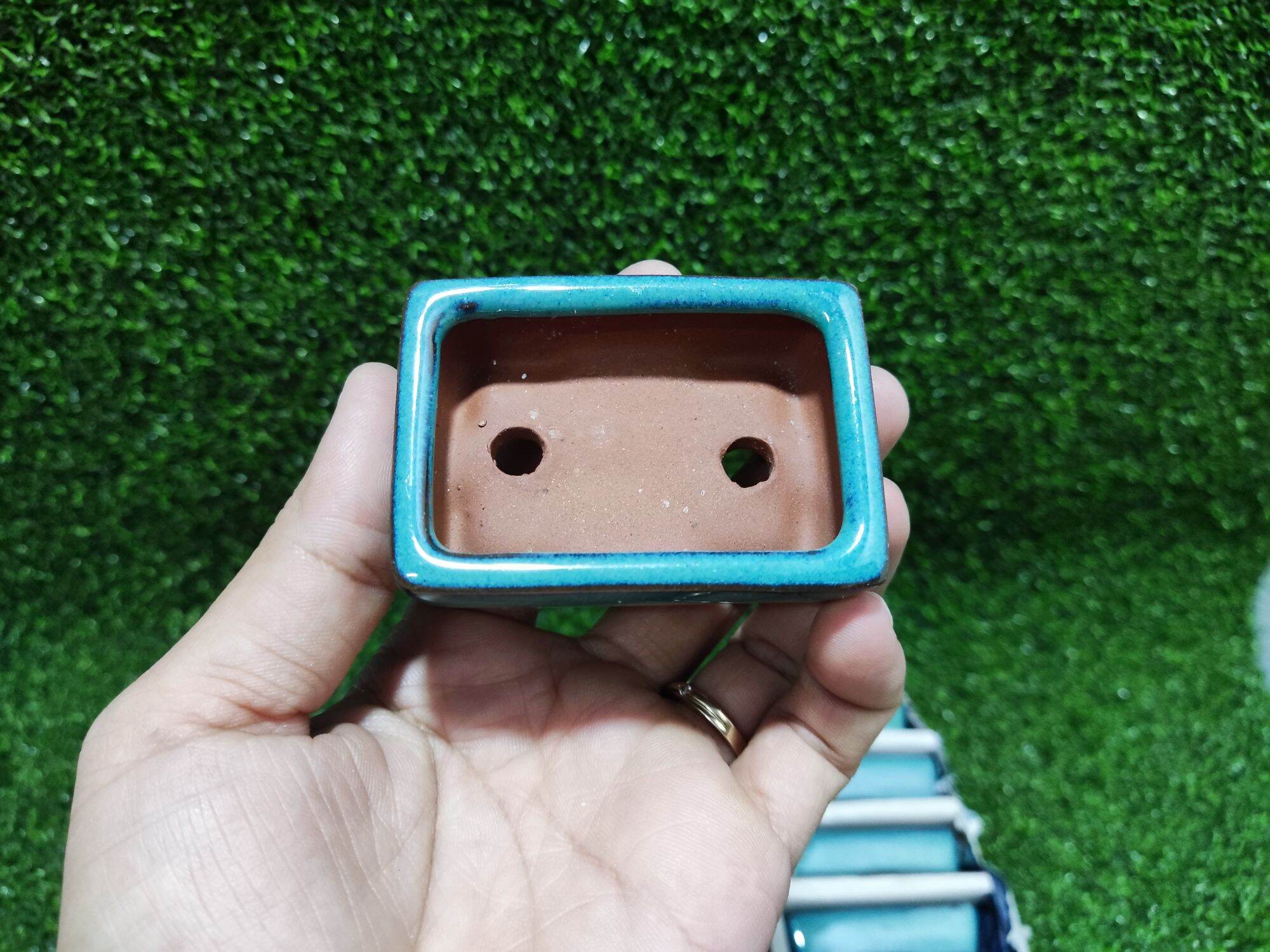 Chậu tàu mini
