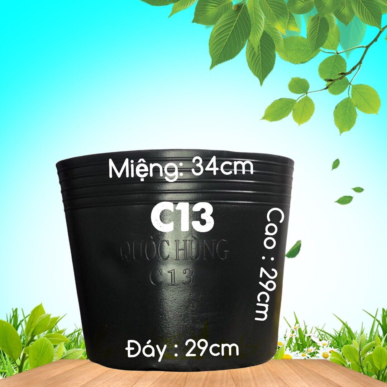 Combo 50 chậu c16 ( dầy dặn)