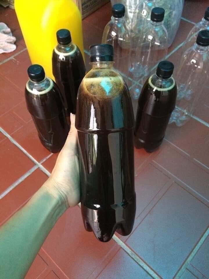 Mật ong đen 1 lít
