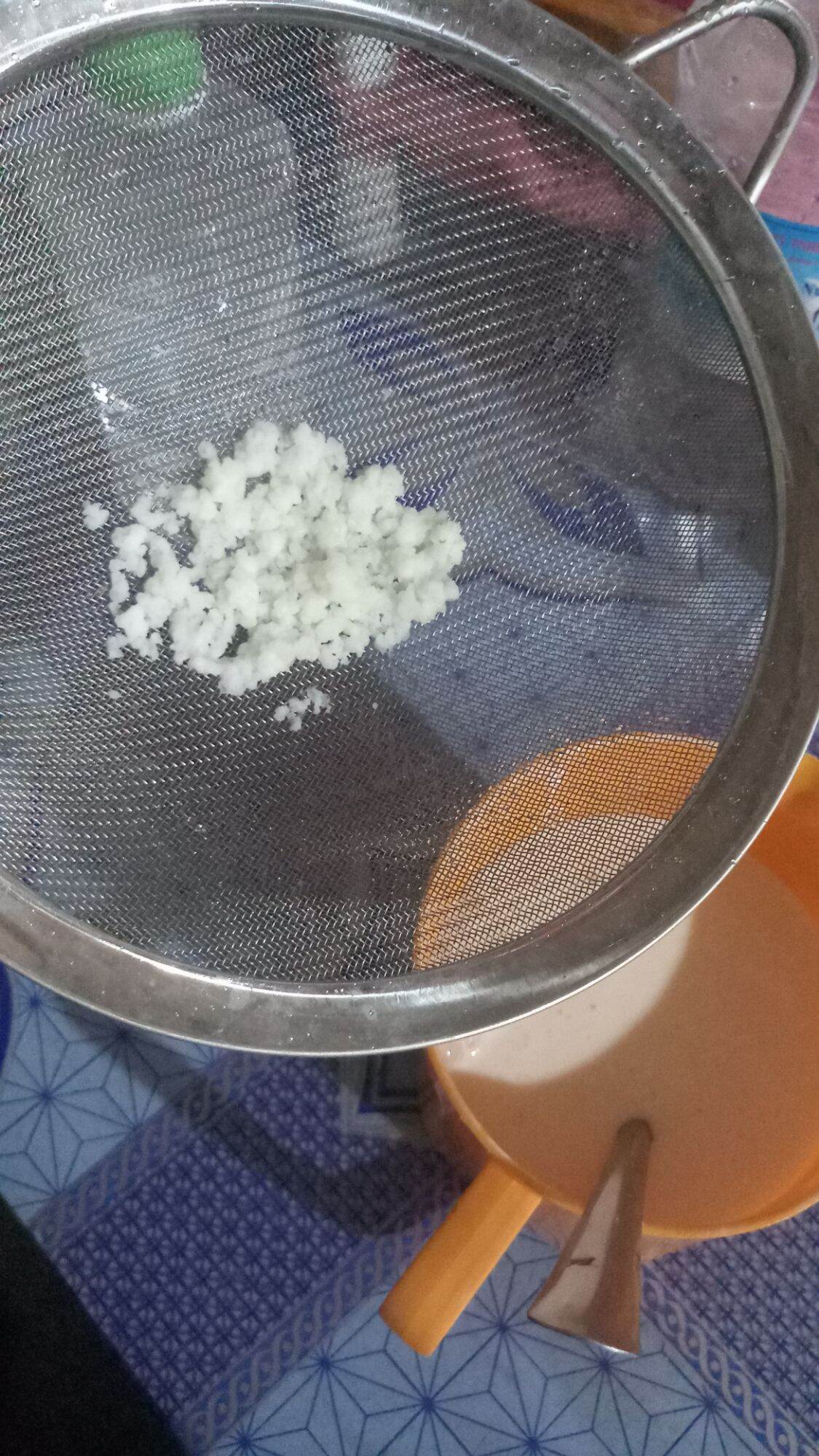 CON NẤM SỮA CHUA 30K
