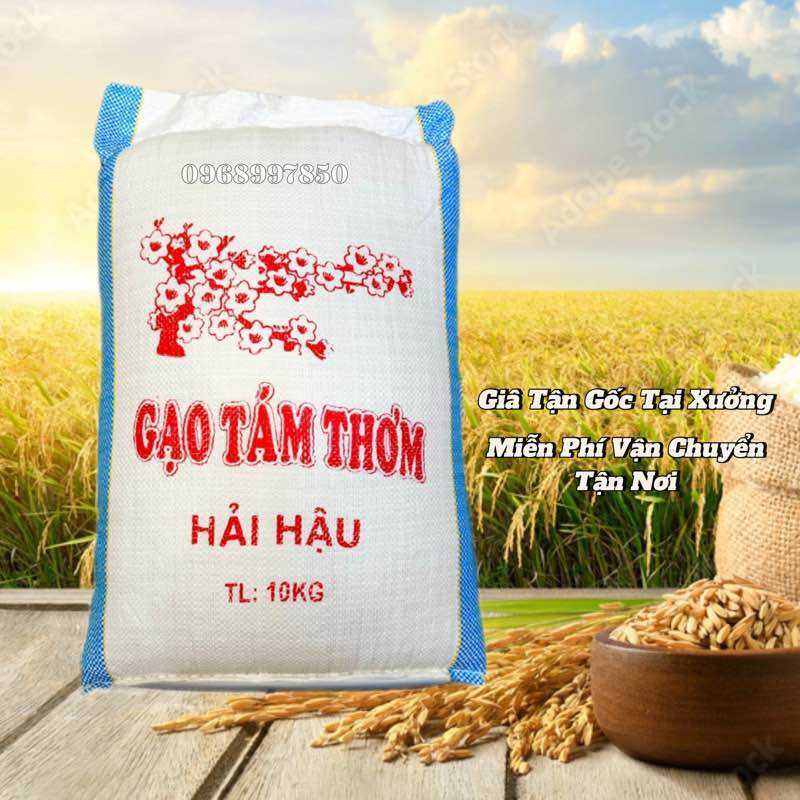 GẠO TÁM THƠM HẢI HẬU (Thơm, Dẻo, Đậm Cơm)