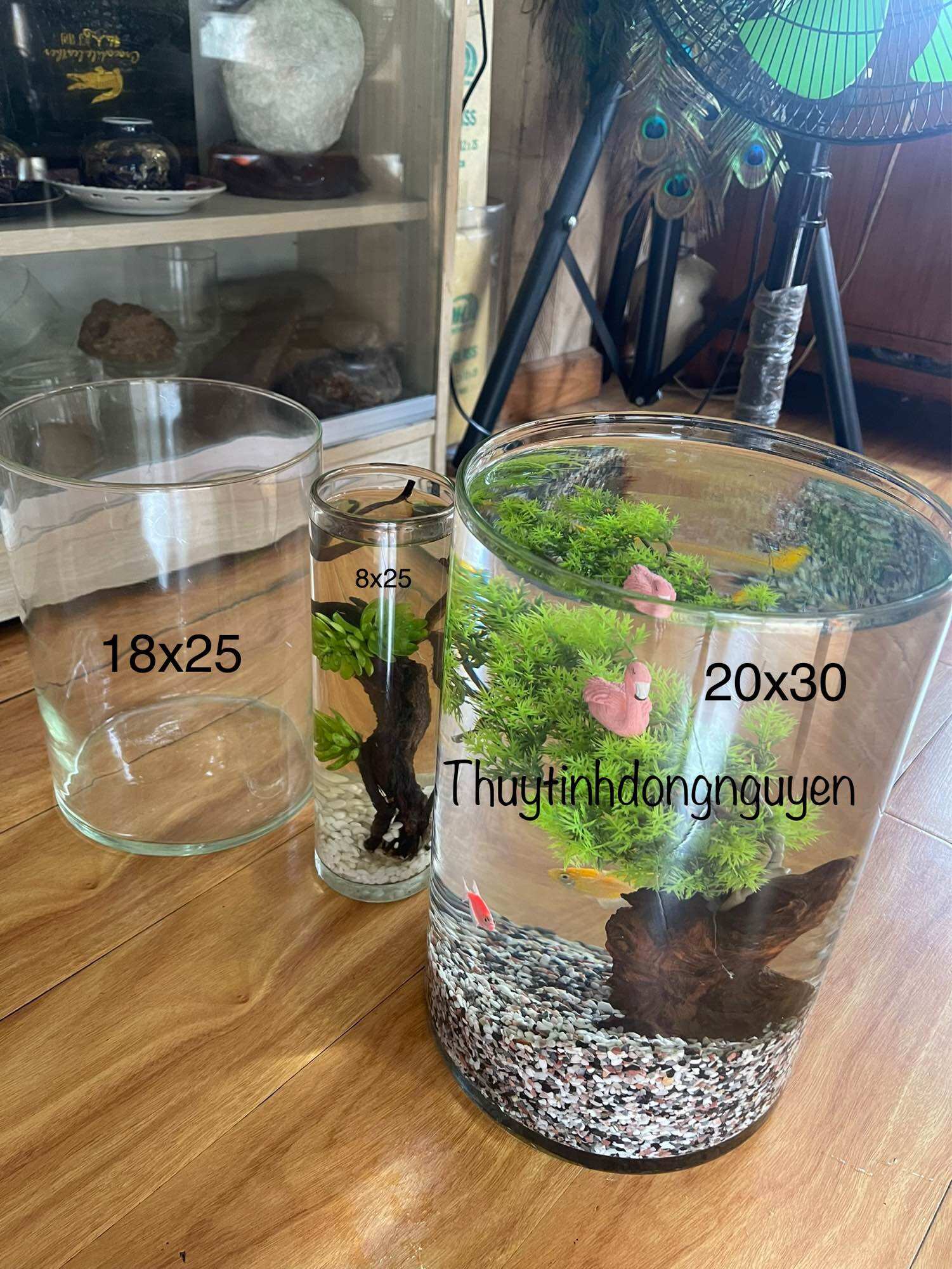 (D18cm x H25cm) Chậu thuỷ tinh, bể cá mini, bình thuỷ tinh 18x25cm (đường kính 18cm cao 25cm)