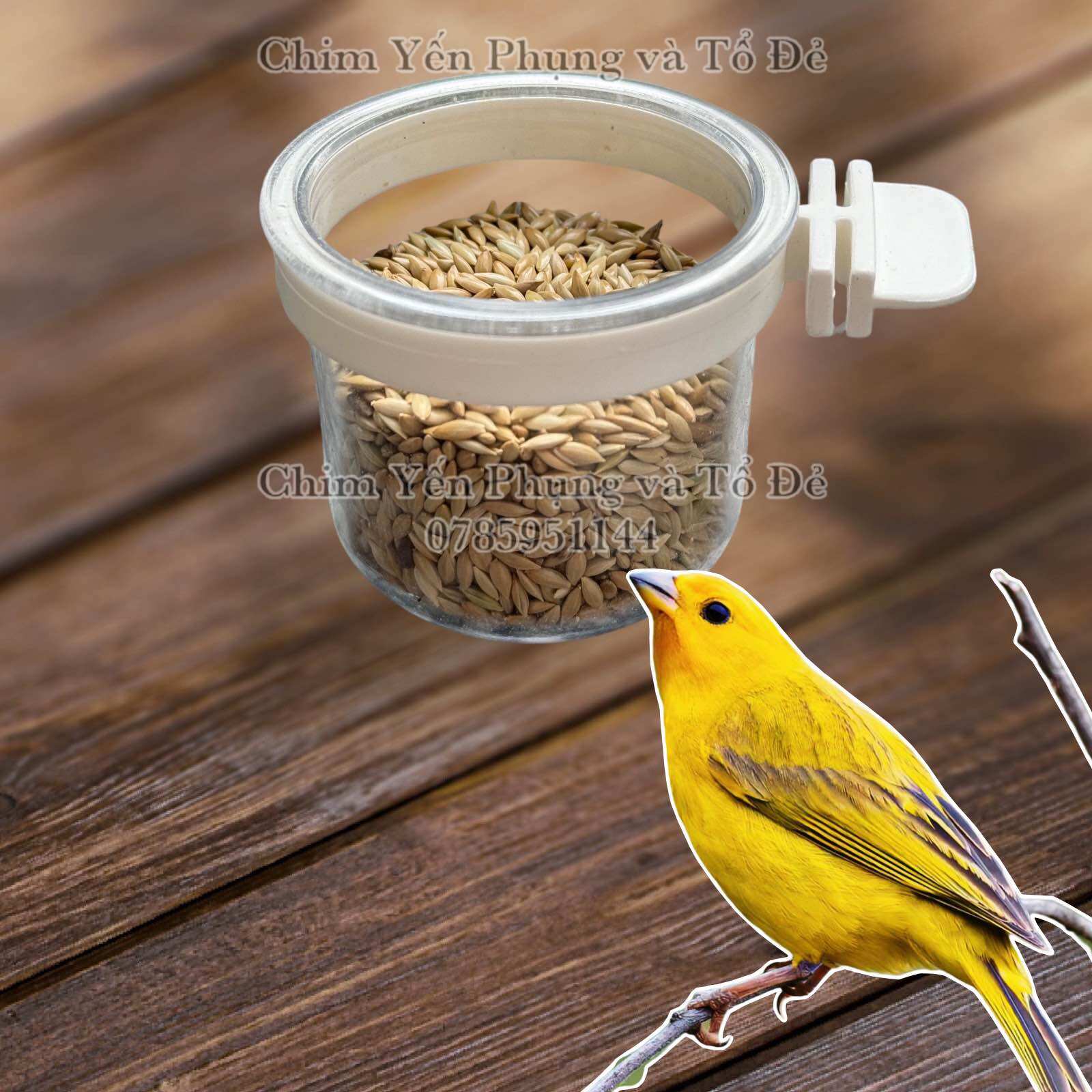 Cóng tròn đựng thức ăn/khoáng có vòng gài vào lồng cho Chim Cảnh, Yến Hót..