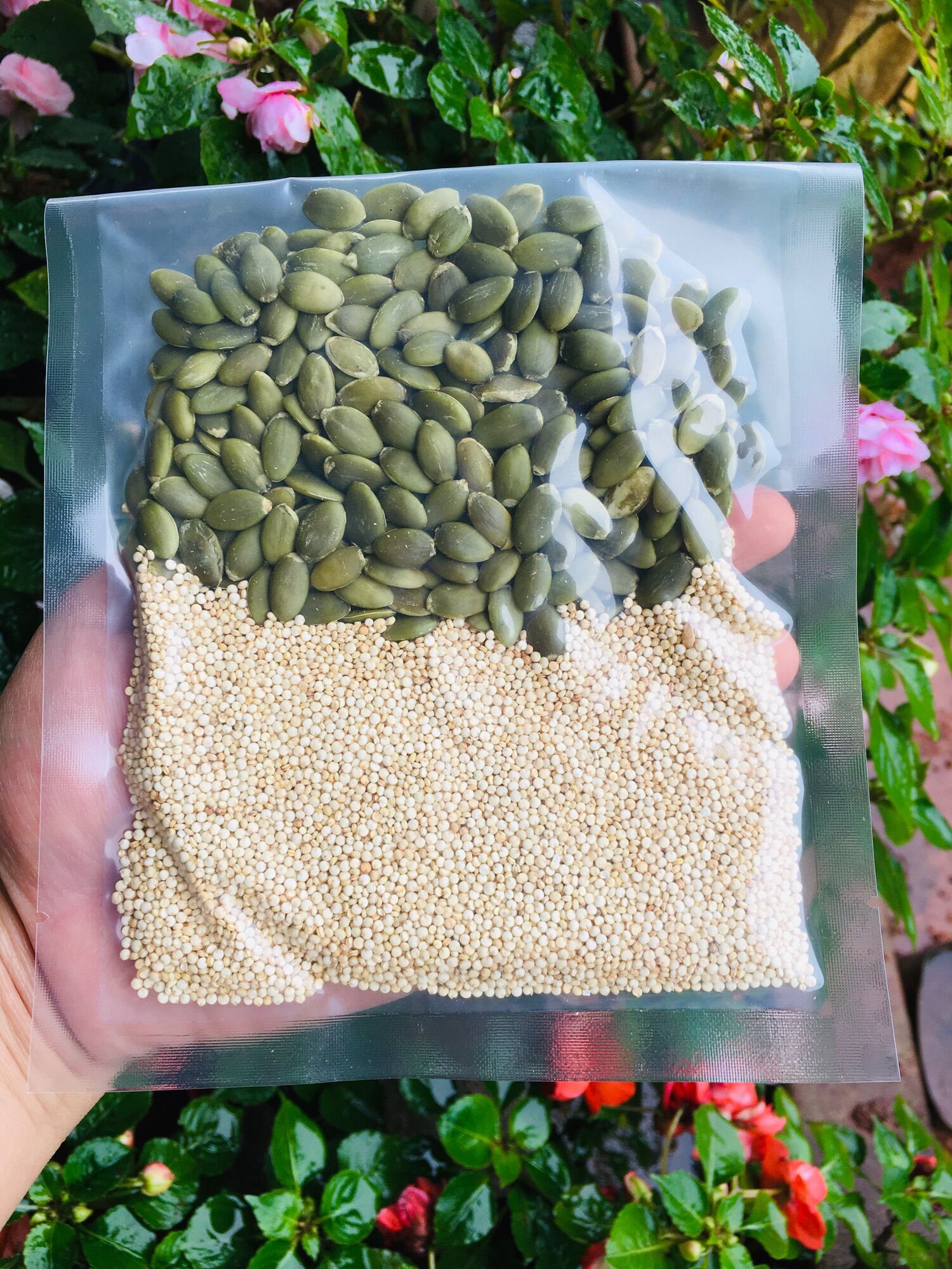 Sét 10 gói sữa hạt dinh dưỡng 100g/gói