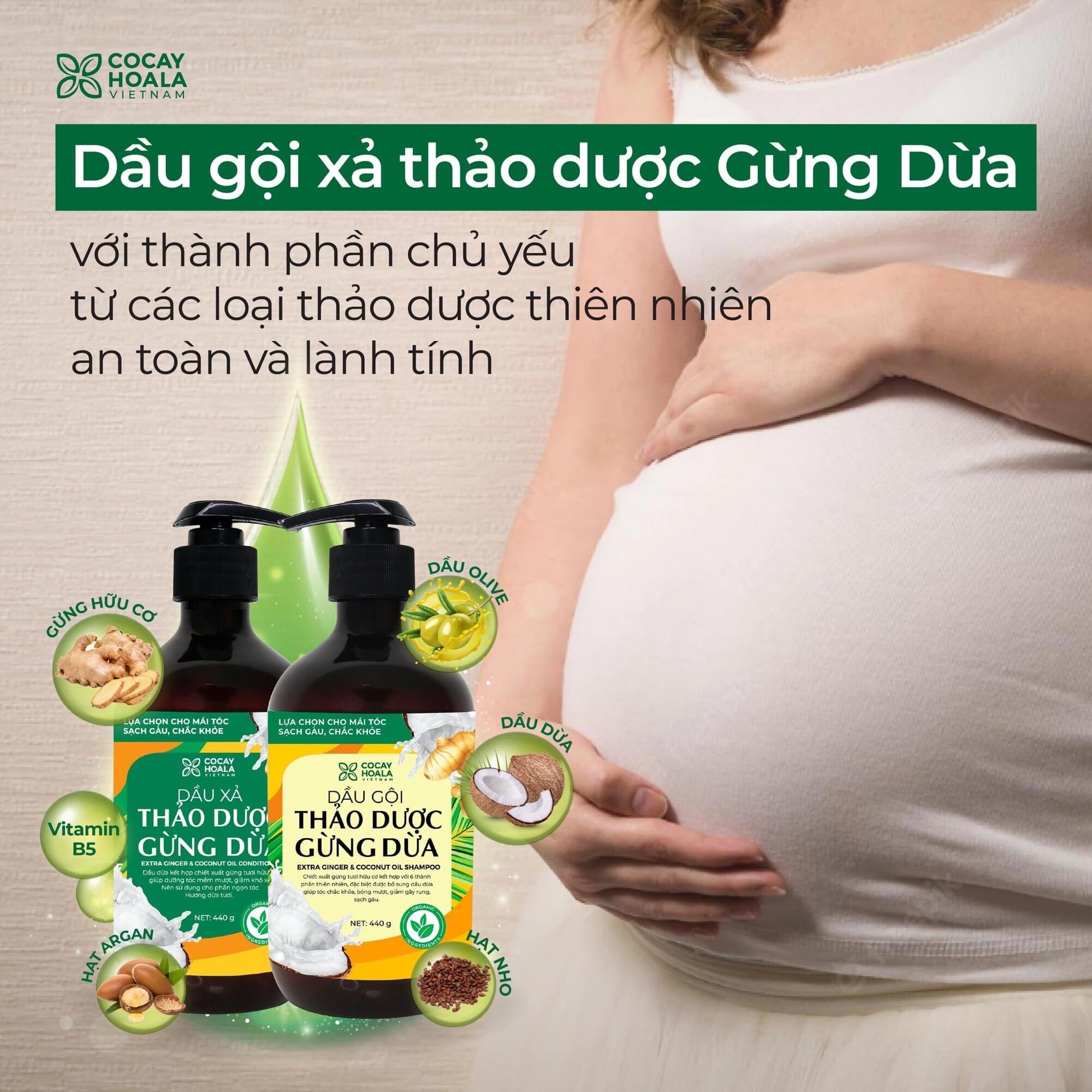 Combo Dầu Gội + Xả Thảo Dược Gừng Dừa