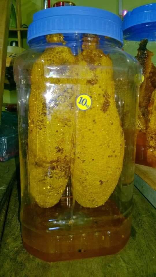 MẬT ONG RUỒI NGUYÊN TỔ, 1kg