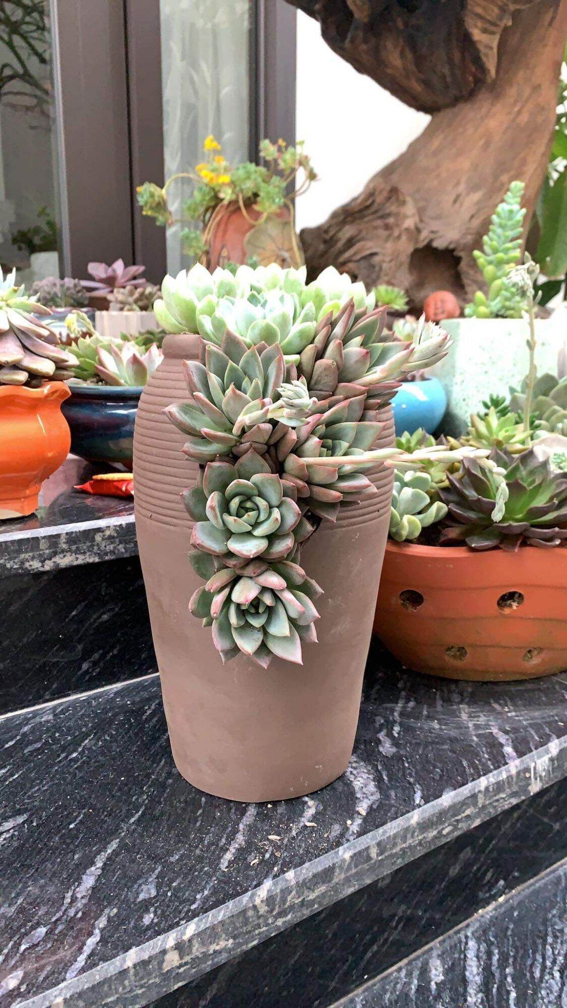 Chậu đất nung Bình Dương xẻ thân cao 30cm, miệng 13