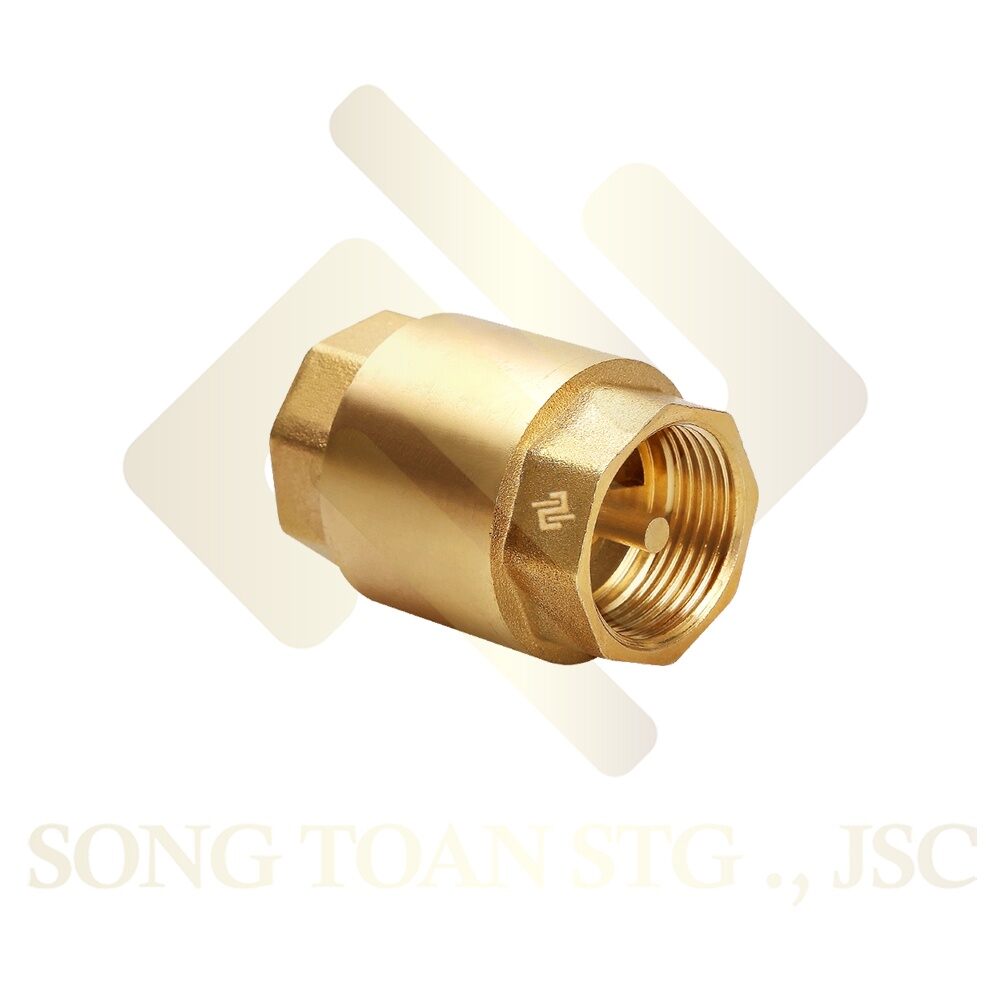 Van 1 chiều/ van lò xo cấp nước theo 1 chiều bằng lá chặn lò xo