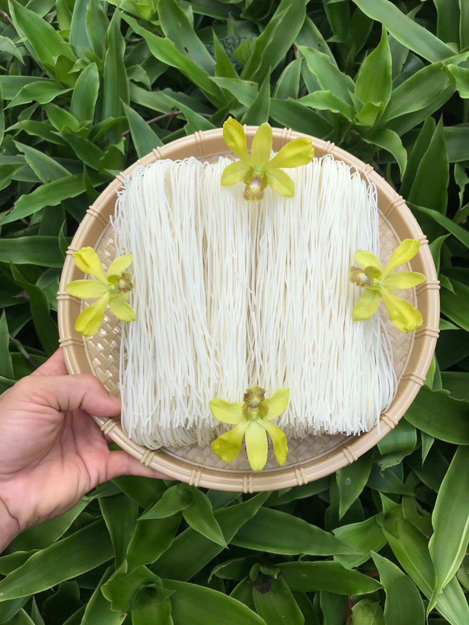 Bán buôn sỉ bún gạo tươi dạng khô hàng loại 1 đặc sản củ chi gói/500g