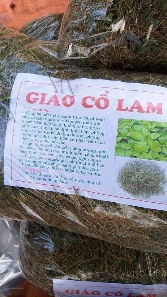 giảo cổ lam