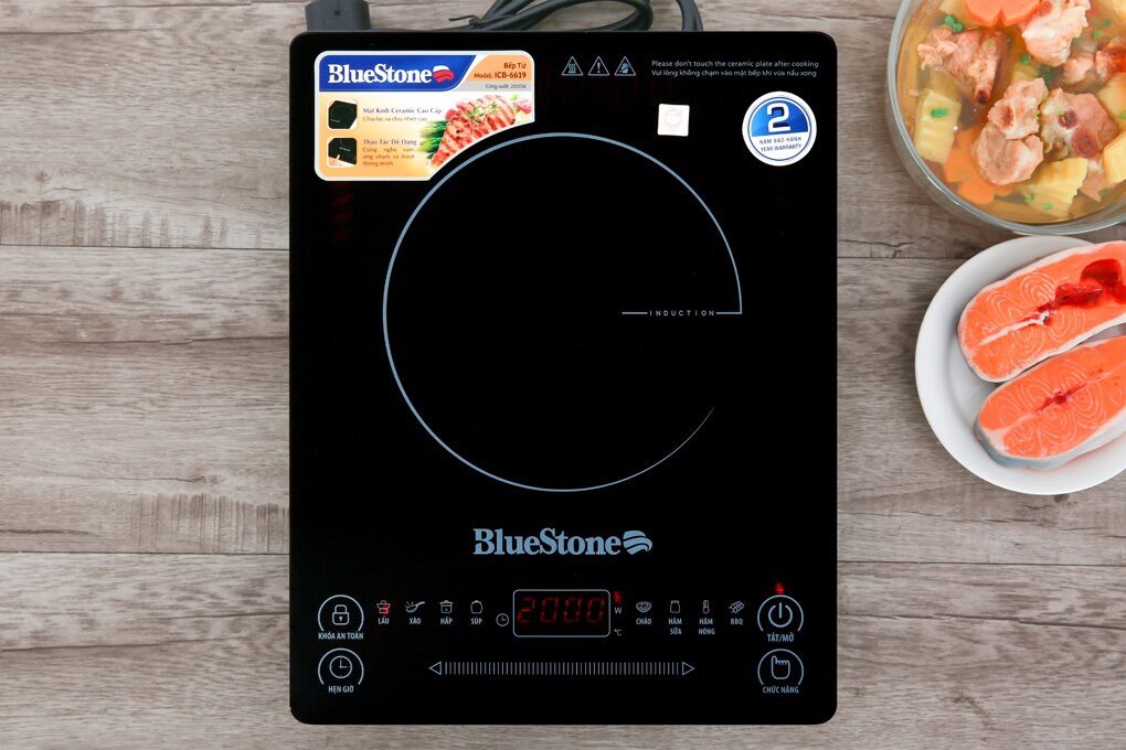 Bếp từ BlueStone 6619