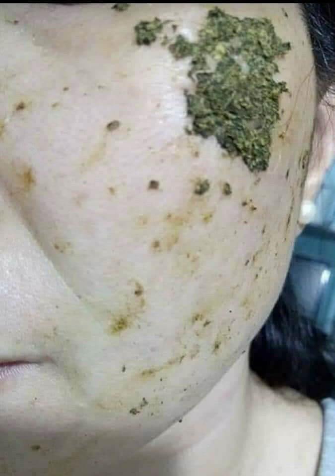 Lá rừng tươi