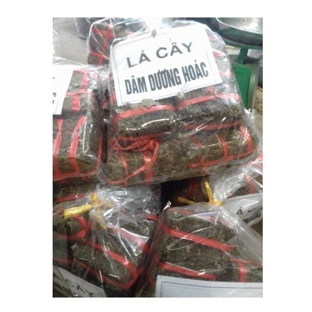 250g lá cây dâm dương hoắc