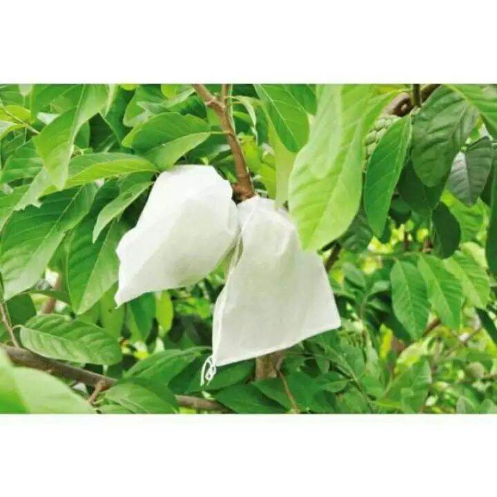 100 túi bọc ổi xoài thái bơ khổ hoa