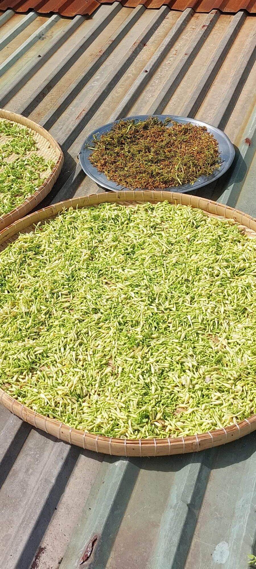 100gr hoa đu đủ đực phơi khô