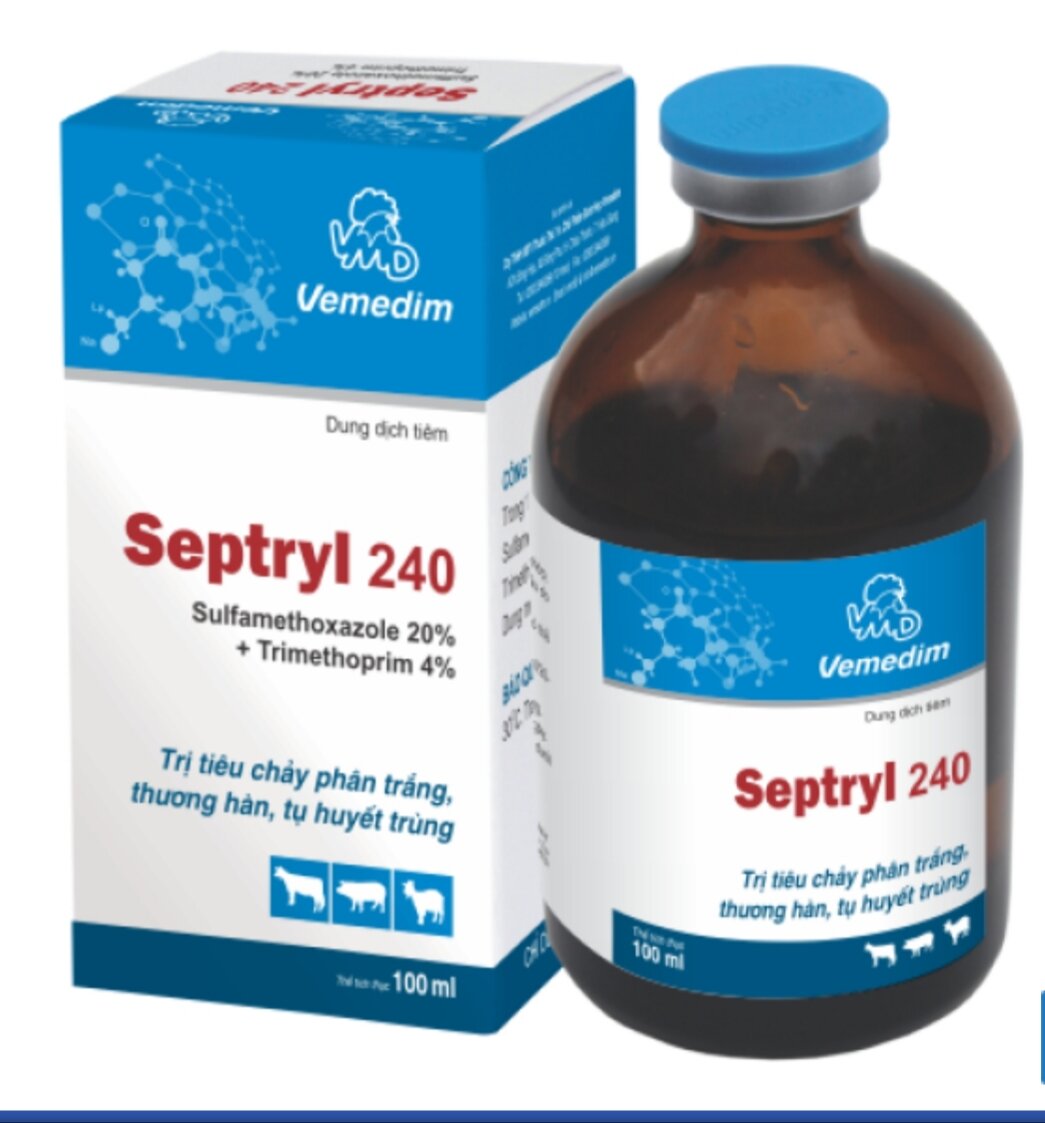 Septryl 240 100ml nhập khẩu
