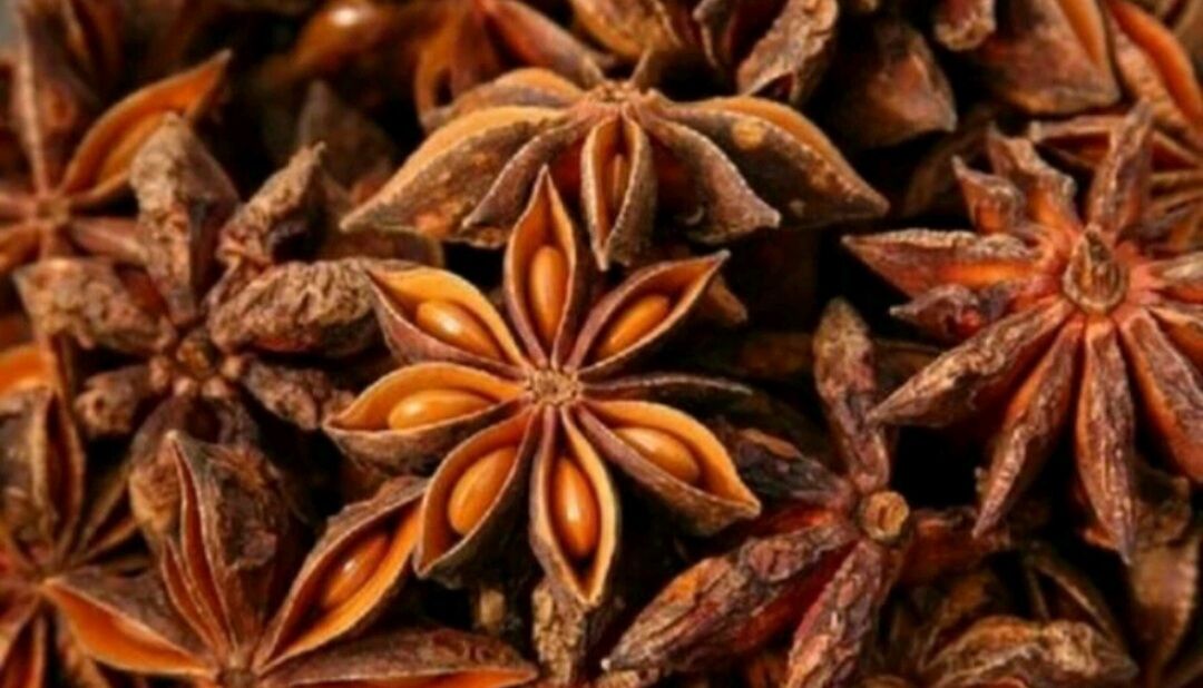 Hoa hồi khô 100g ( Thơm, đẹp )_ Dược Liệu Hoàng Châu