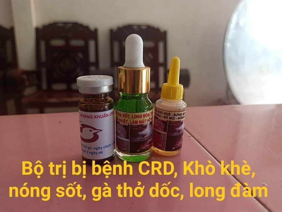 SUY HÔ HẤP, CRD, ORT