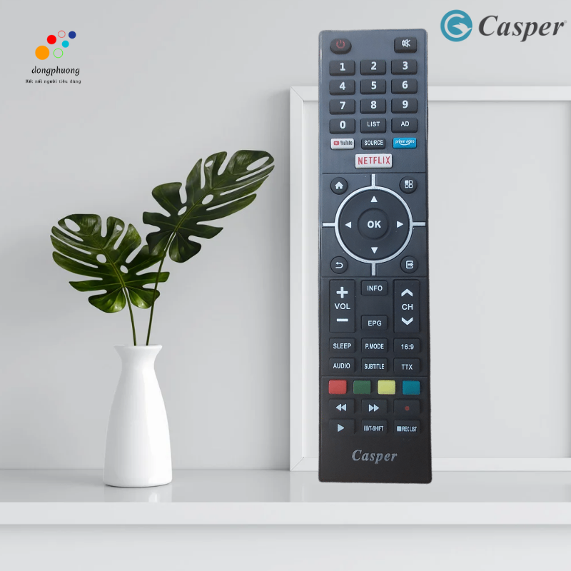 REMOTE ĐIỀU KHIỂN TIVI CASPER 2020