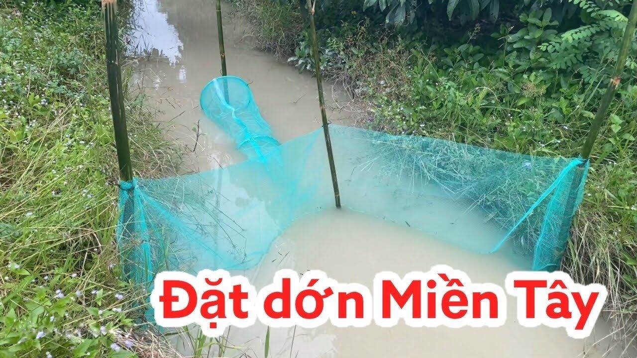dớn đặt, đánh bắt thủy sản